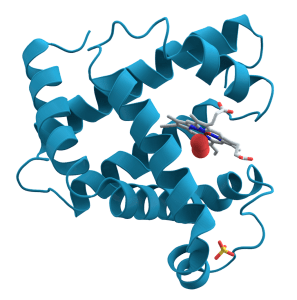 cardiac enzymes