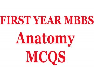 Anatomy mcqs for first year mbbs 