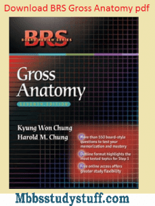 BRS Anatomy Pdf download