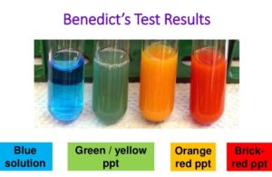 Benedict's test for reducing sugar