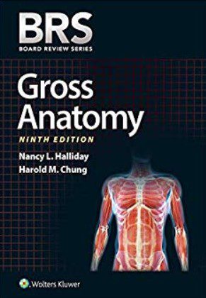 BRS Gross Anatomy 9th Edition PDF Download and Review