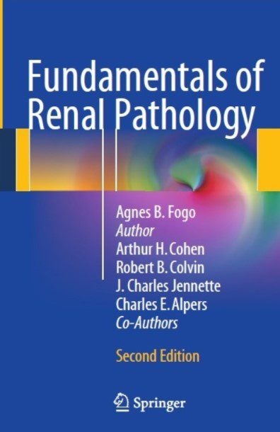 Download Fundamentals of Renal Pathology 2nd Edition PDF Free