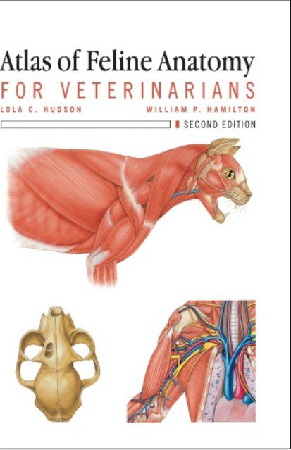 Download Atlas of Feline Anatomy For Veterinarians PDF Free