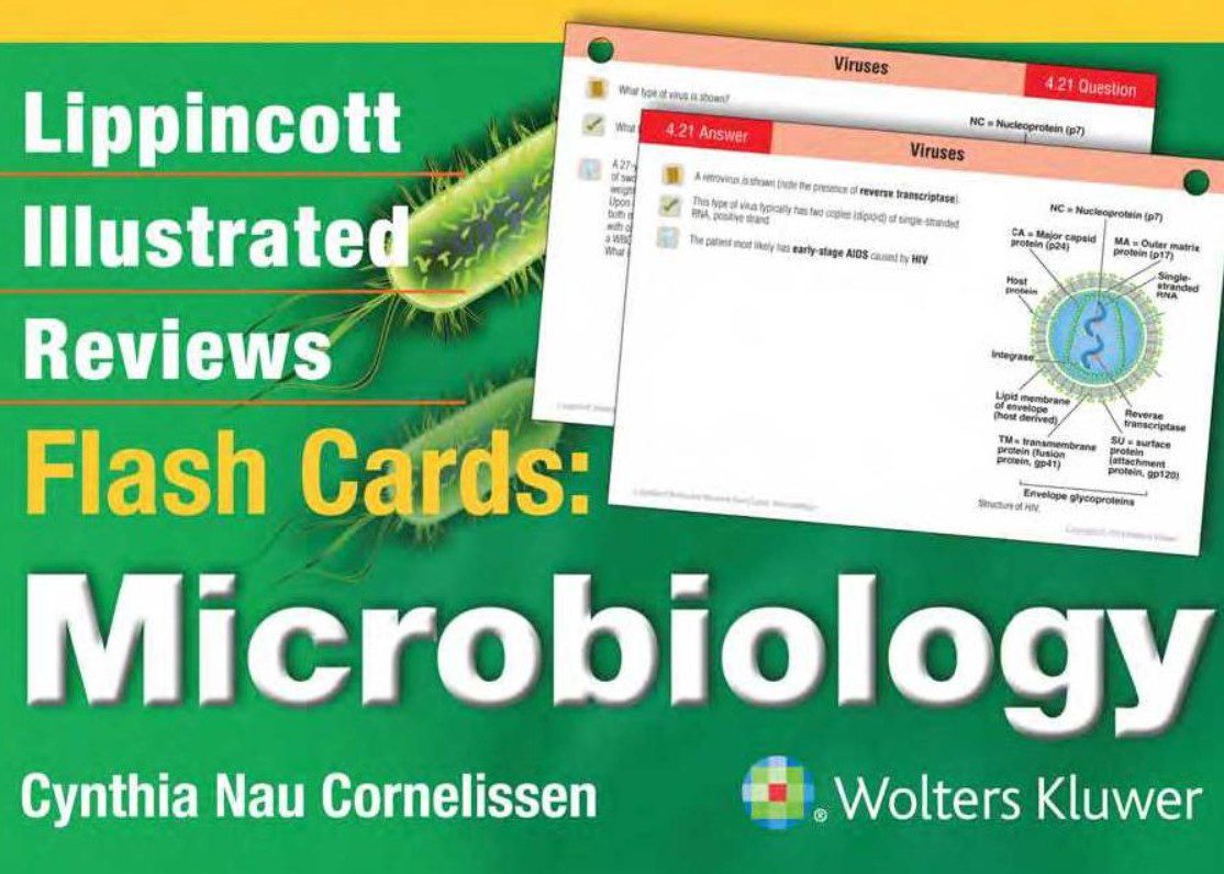 Download Lippincott Illustrated Reviews Flash Cards: Microbiology 1st Edition PDF Free