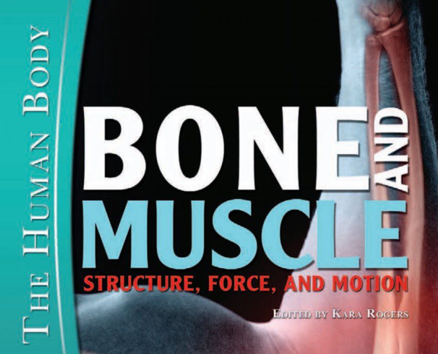 Bone and Muscle: Structure, Force, and Motion (The Human Body) PDF Free Download
