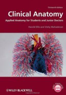 Clinical Anatomy: Applied Anatomy for Students and Junior Doctors 13th Edition PDF Free Download