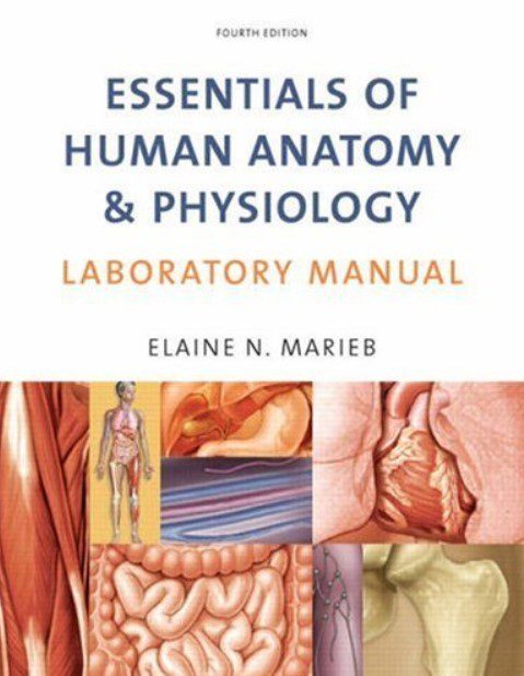 Essentials Of Human Anatomy & Physiology Laboratory Manual 4th Edition PDF Free Download
