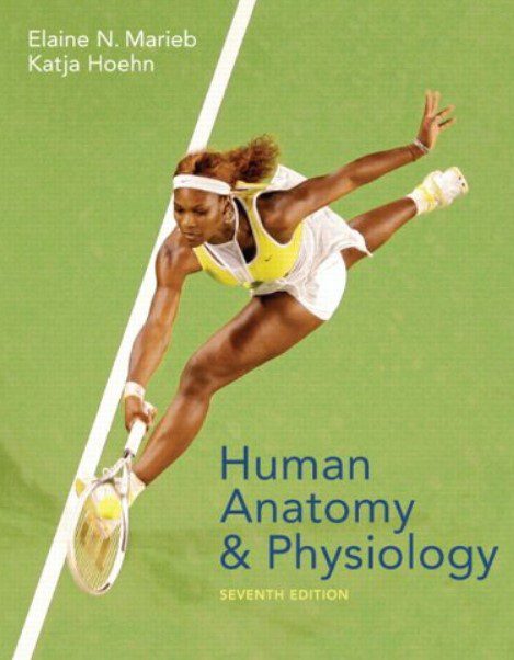 Human Anatomy & Physiology 7th Edition CHM PDF Free Download