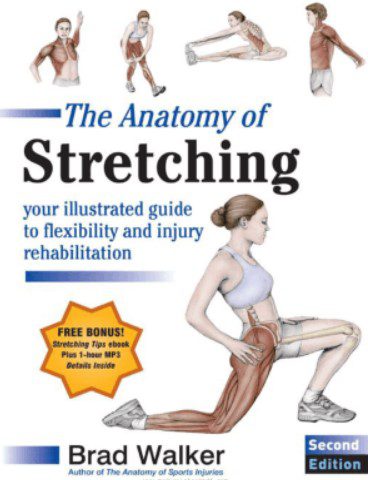 The Anatomy of Stretching 2nd Edition PDF Free Download