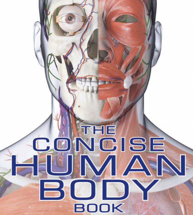 The Concise Human Body Book: An Illustrated Guide to its Structure, Function, and Disorders 2nd Edition PDF Free Download