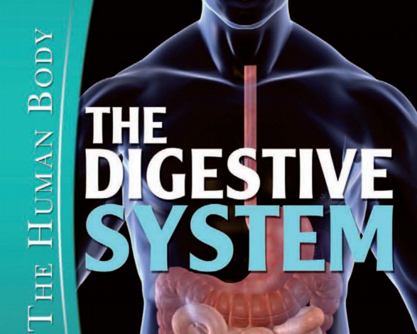 The Human Body: The Digestive System PDF Free Download