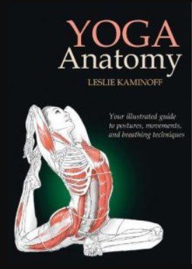 Yoga Anatomy PDF Free Download