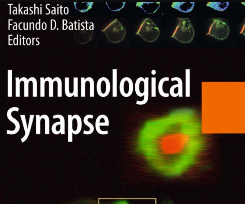 Immunological Synapse PDF Free Download