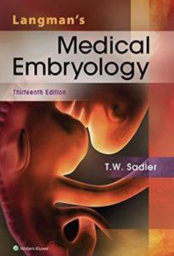 Langman’s Medical Embryology 13th Edition PDF Free Download