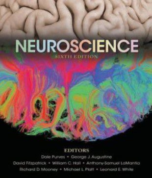 Neuroscience 6th Edition PDF Free Download