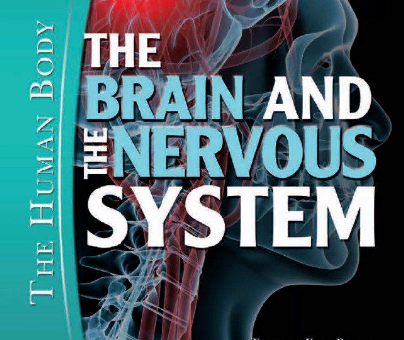 The Brain and the Nervous System (The Human Body) PDF Free Download