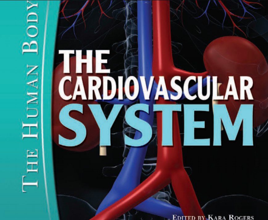 The Cardiovascular System PDF Free Download