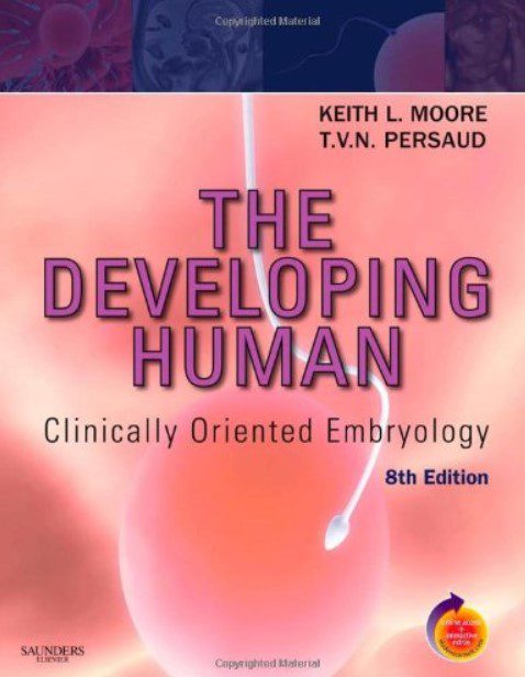 The Developing Human Clinically Oriented Embryology 8th Edition PDF Free Download