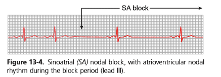 Sa Block - Medical Study Zone