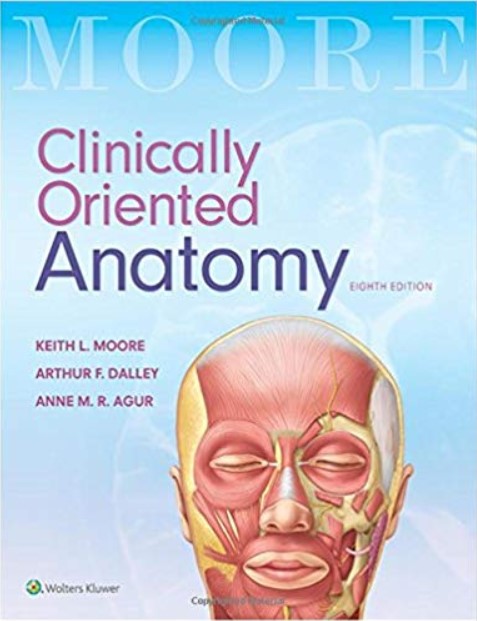 Download Moore’s Clinically Oriented Anatomy PDF 8th Edition Free