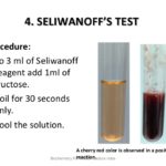 Seliwanoff's test