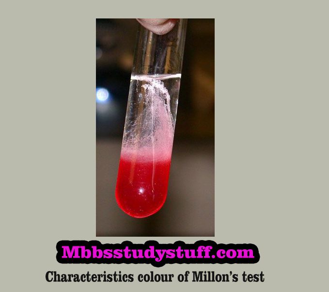 Millon's test - Its Principle, Reagents, Procedure etc