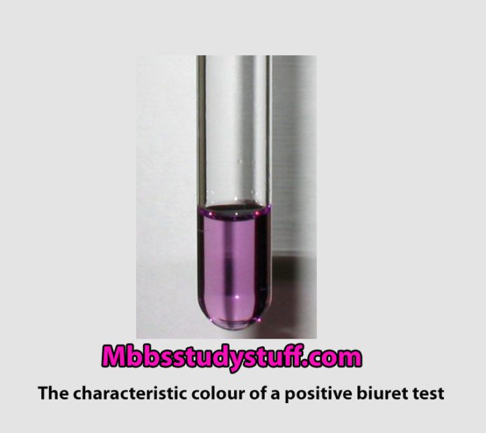 Protein Biuret test Medical Study Zone