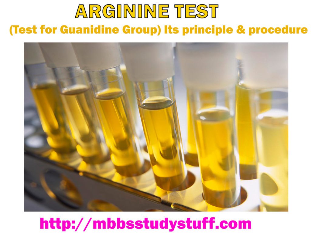 ARGININE TEST Medical Study Zone