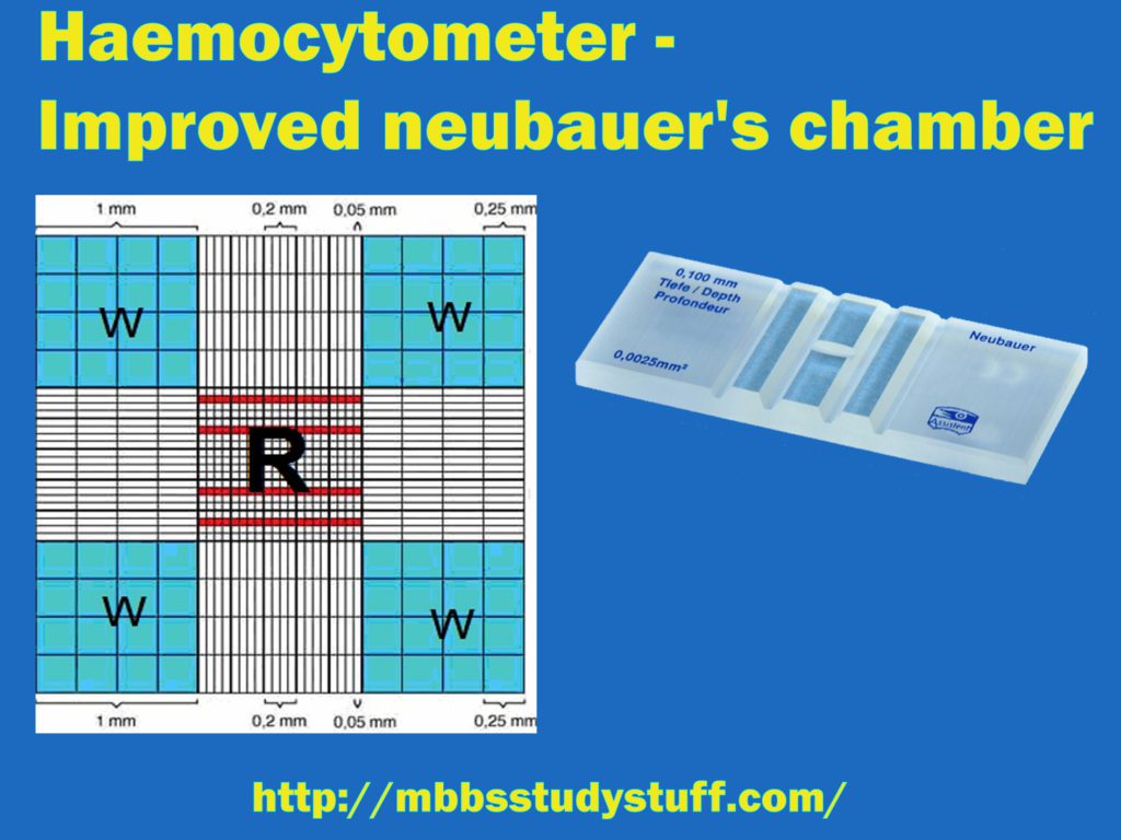 Haemocytometer - Improved neubauer's chamber
