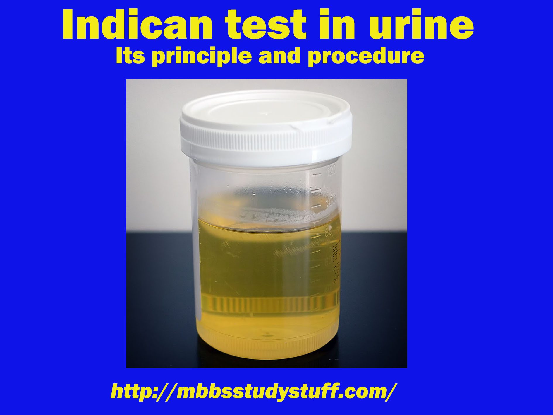 Indican test in urine
