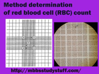 Method determination of red blood cell (RBC) count - Medical Study Zone