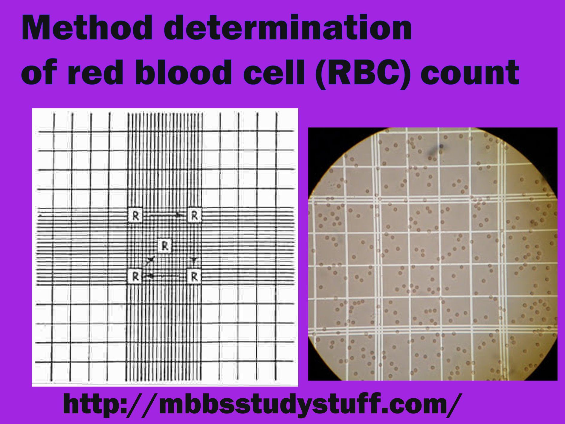 Method determination of red blood cell (RBC) count