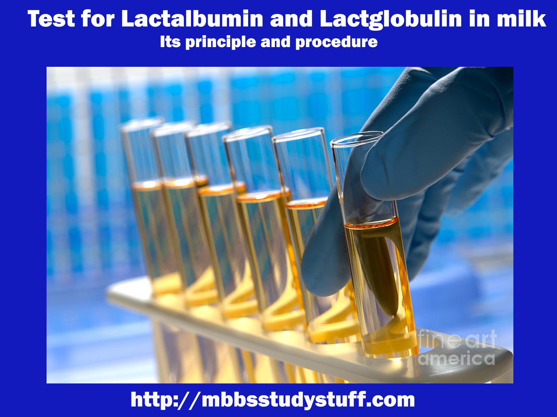 Test for Lactalbumin and Lactoglobulin in milk - Its principle and procedure