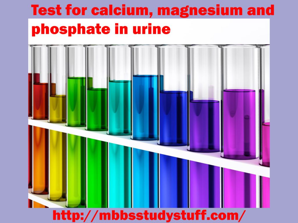 Test for creatinine by jaffe's reaction Its principle and procedure