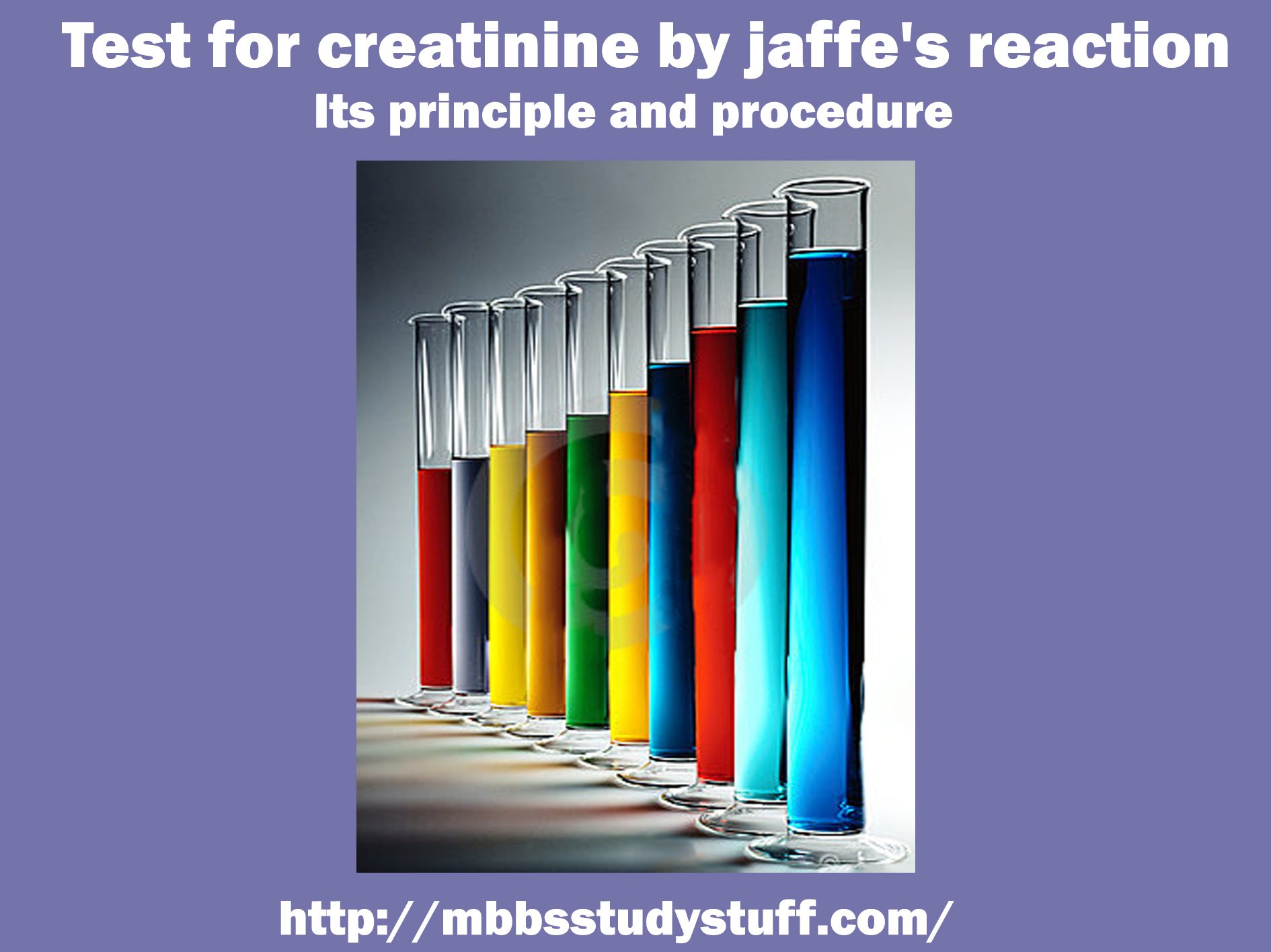 Test for creatinine by jaffe's reaction - Its principle and procedure