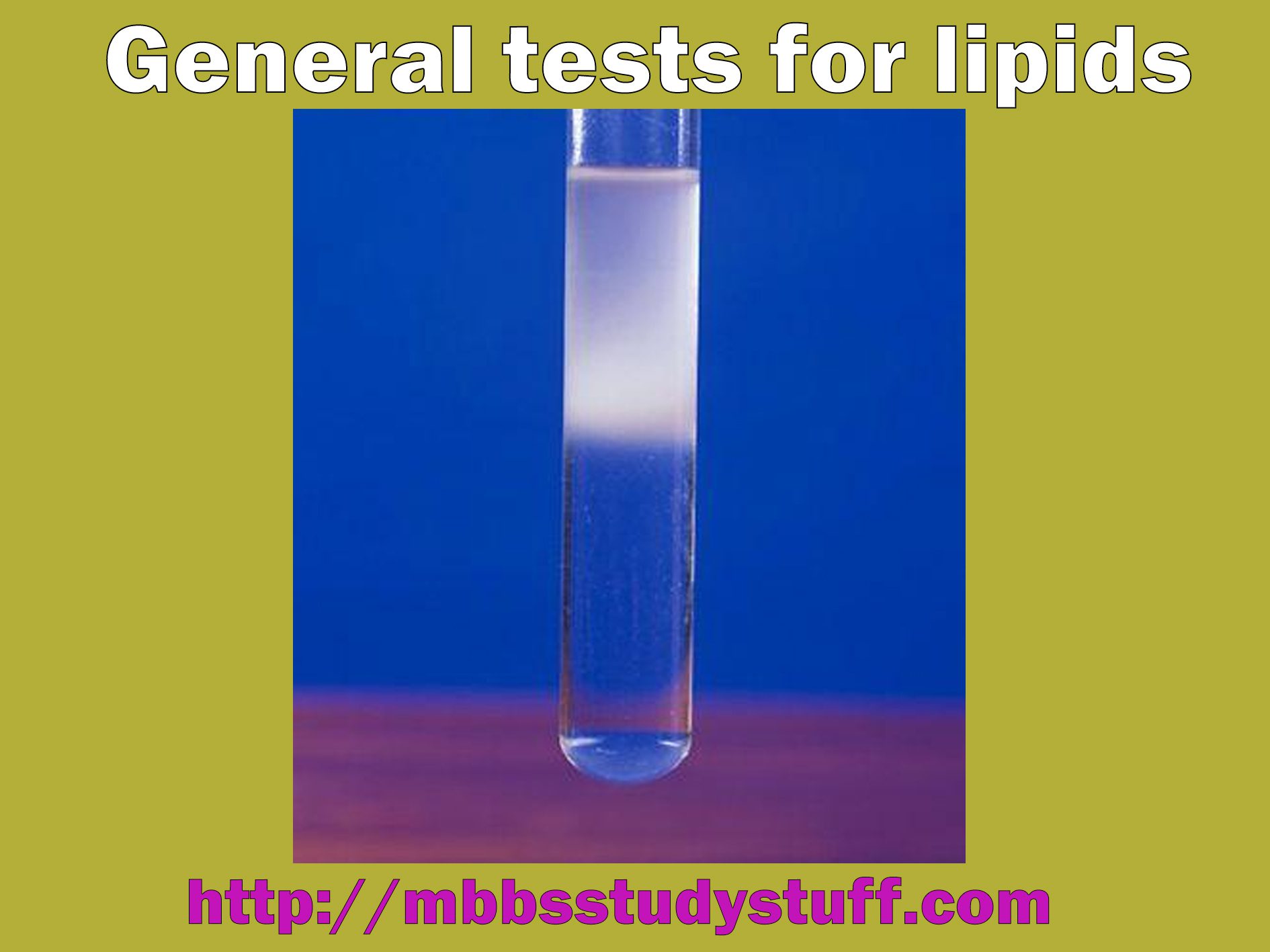 General tests for lipids