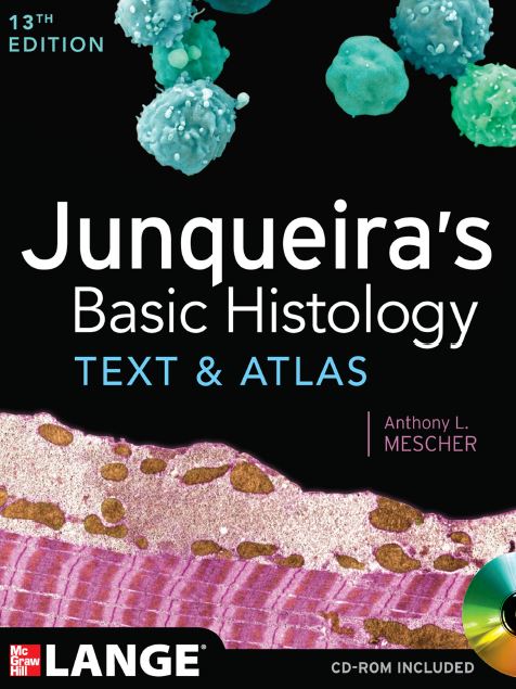 Download Junqueira’s basic Histology pdf Latest Edition with Review & Features