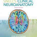 Download Snell Neuroanatomy PDF Latest Edition with Full Review