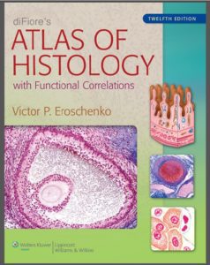 Download Di fiore Atlas of histology pdf Latest Edition with Full Review