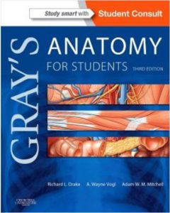Download Gray’s Clinical Anatomy pdf Latest edition with Review And Features