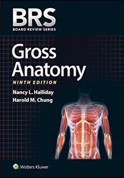 brs gross anatomy 2018 pdf free download