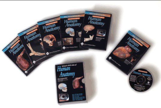 Download Acland Anatomy Video Lectures Free