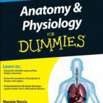 Download Anatomy And Physiology For Dummies PDF Free