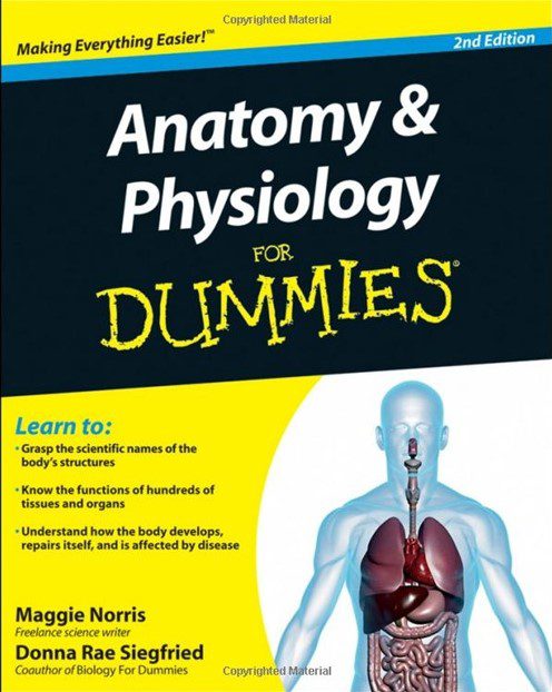 Download Anatomy And Physiology For Dummies PDF Free