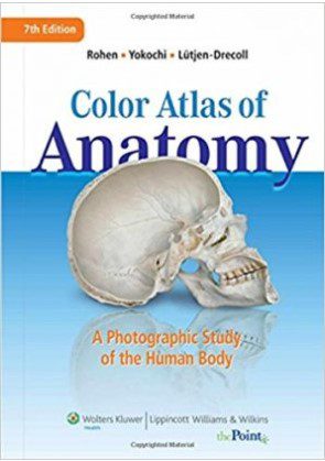 Download Color Atlas of Anatomy 7th Edition PDF Free
