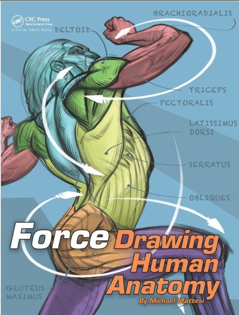 Download FORCE: Drawing Human Anatomy PDF Free