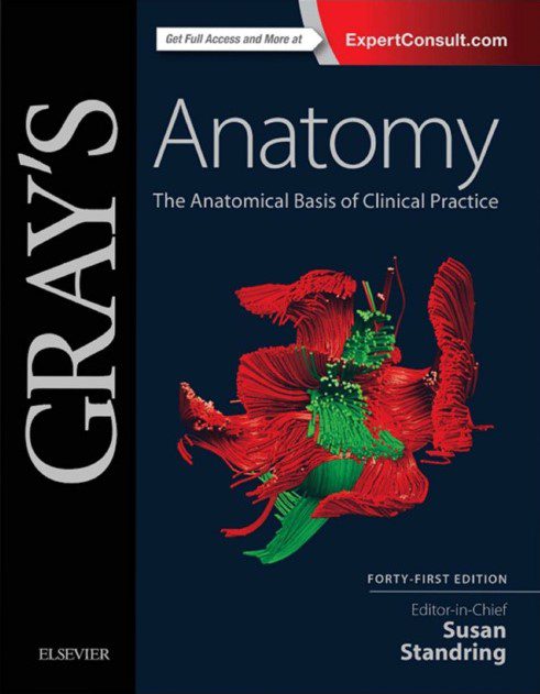 Download Gray’s Anatomy: The Anatomical Basis of Clinical Practice 41st Edition PDF Free
