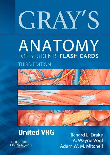 Download Gray’s Anatomy for Students Flash Cards 3rd Edition PDF Free