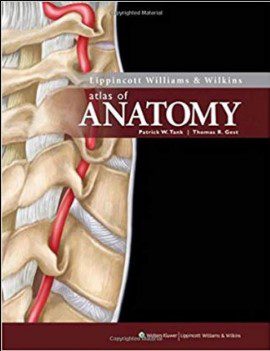 Download Lippincott Williams & Wilkins Atlas of Anatomy PDF Free