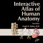 Download Netter Interactive Atlas Of Human Anatomy v3.0 Free